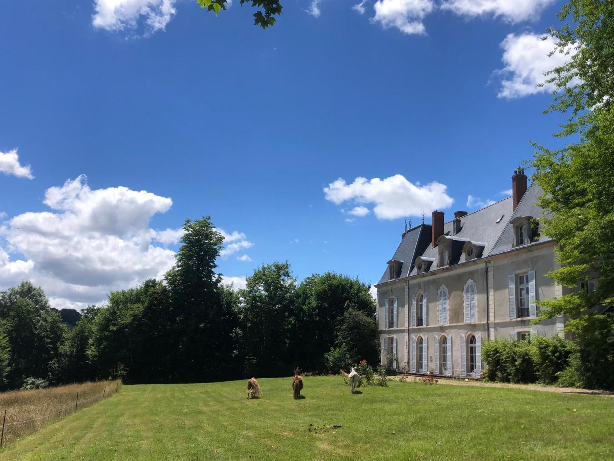Chateau De Vaux Morvan Etang-sur-Arroux Екстер'єр фото