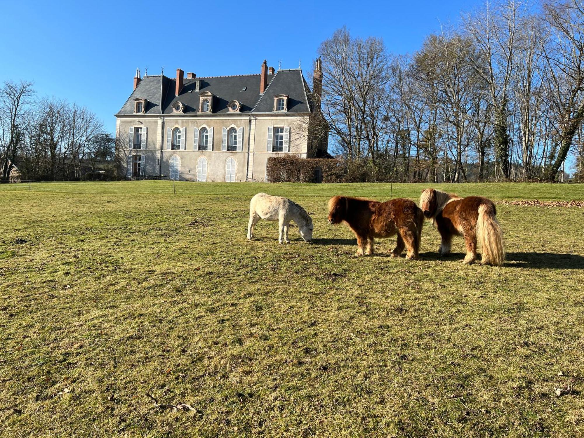 Chateau De Vaux Morvan Etang-sur-Arroux Екстер'єр фото
